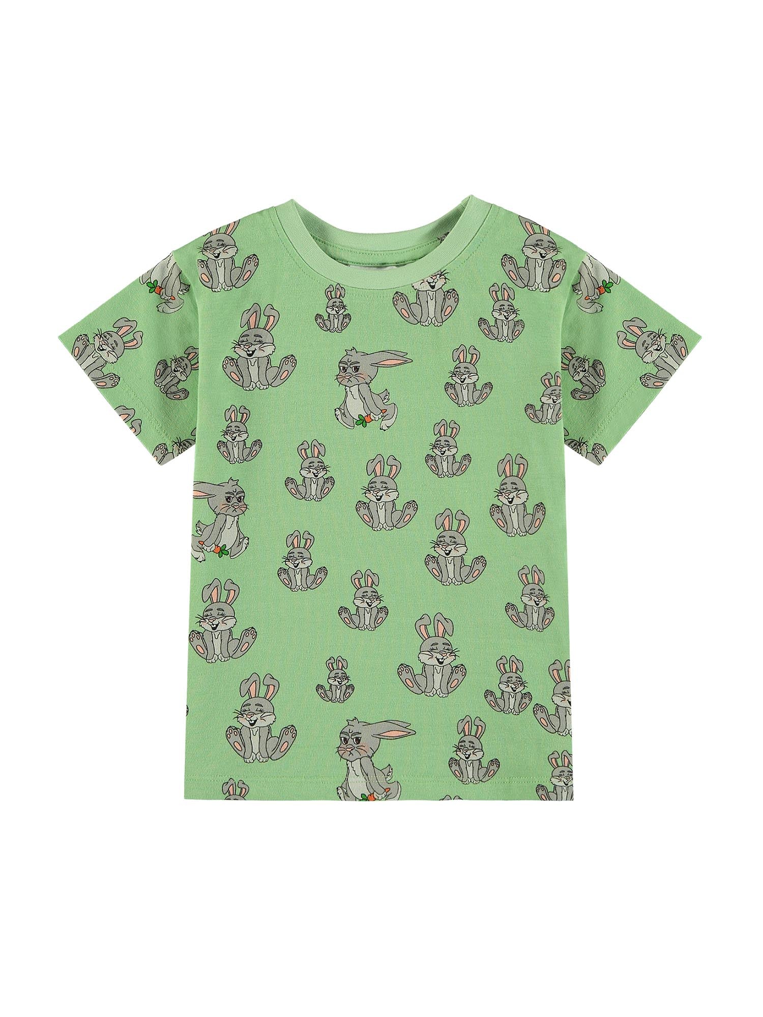 Organic Kids T-Shirt with RABBIT print light green – Tao